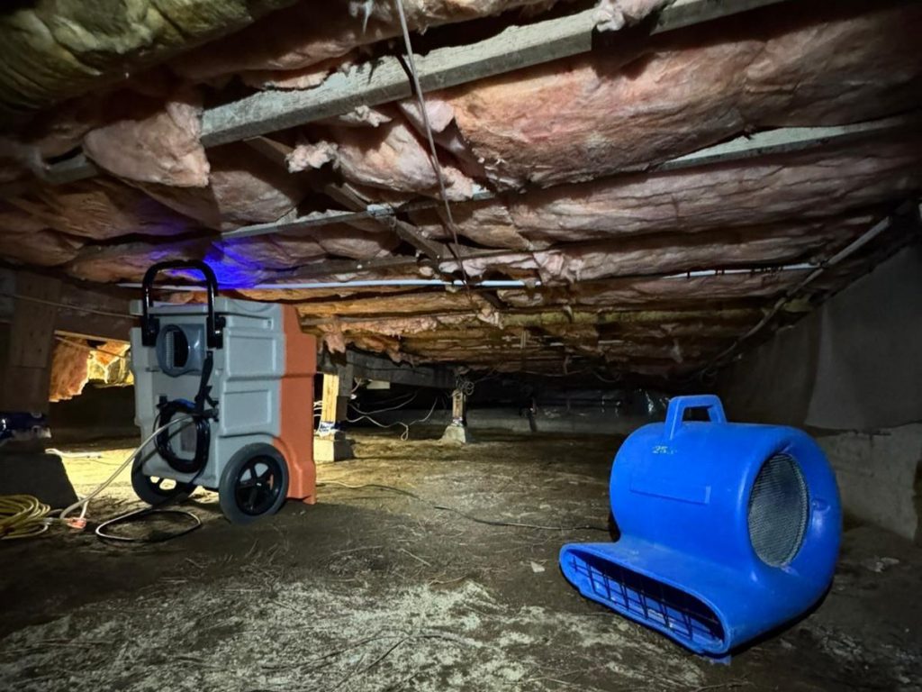 water damage removal vancouver